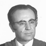 Prof. Massoud Azizi